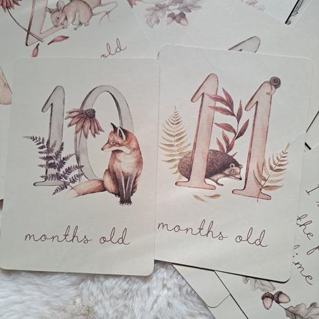 Míľnikové kartičky newbie les, 