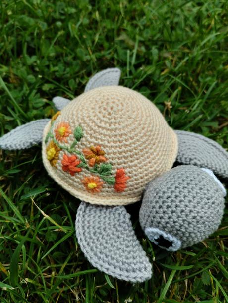 Hackovana korytnacka, 