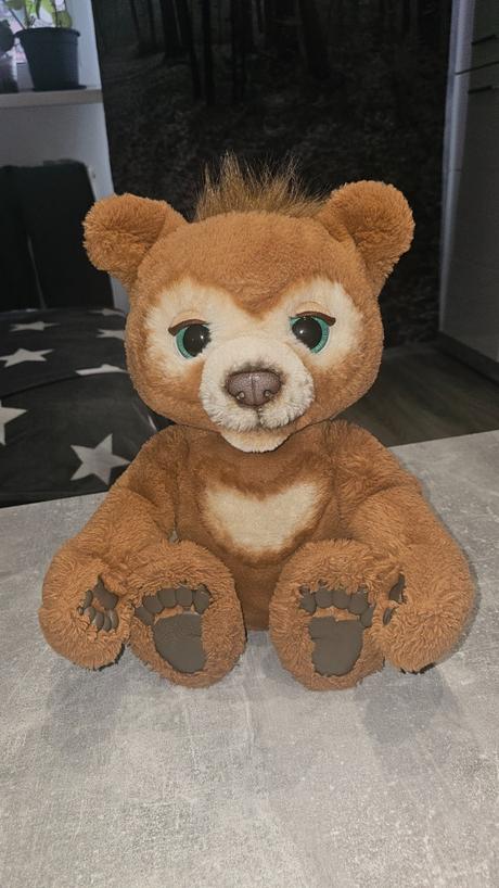 Interaktivny medveď, 