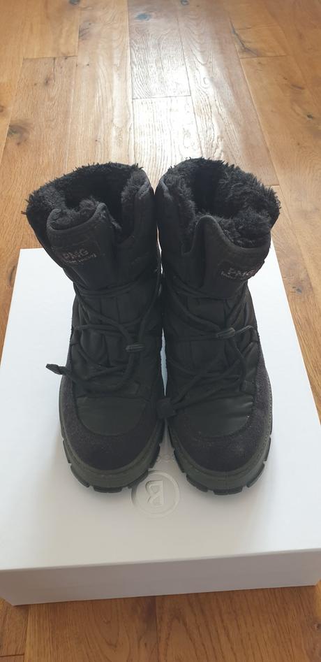 Snehule primigi, primigi,37