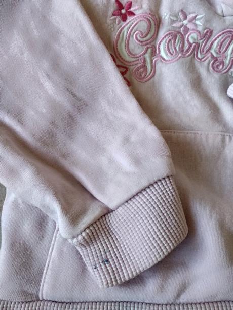 Mikinka, st. bernard,104