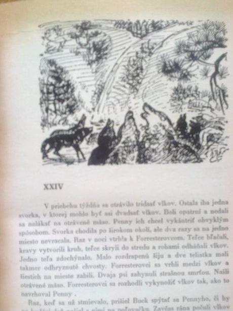 Dieťa divočiny, marjorie kinnan rawlingsová, 1971,