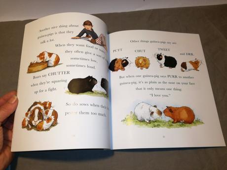 I love guinea-pigs nau22, 