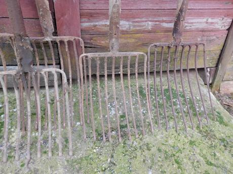 Staré náradie vidly s drevenou rukoveťou,,