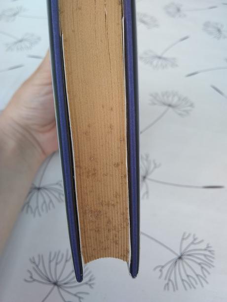 Táňa keleová - vasilková - siete z pavučí,