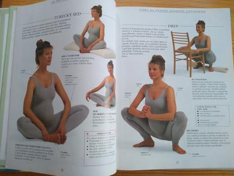 Elizabeth fenwick - veľká kniha o matke a dieťati,