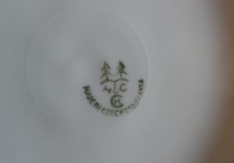 Hrubostenne taniere,