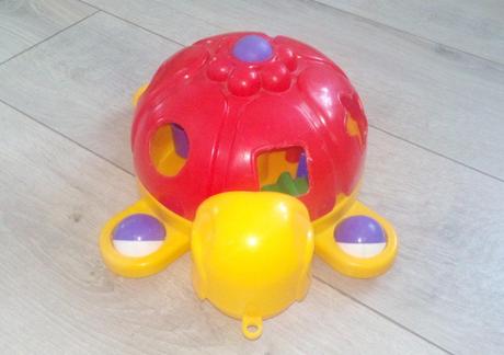 Vkladačka korytnačka, 