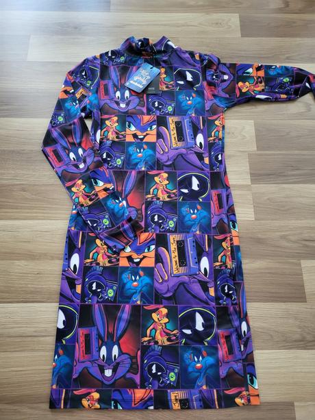 Looney tunes saty, house,l