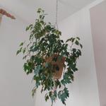 Makrame držiak na kvetináč,