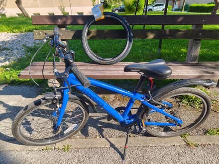 Ľahký bicykel ridgeback 20'', 20