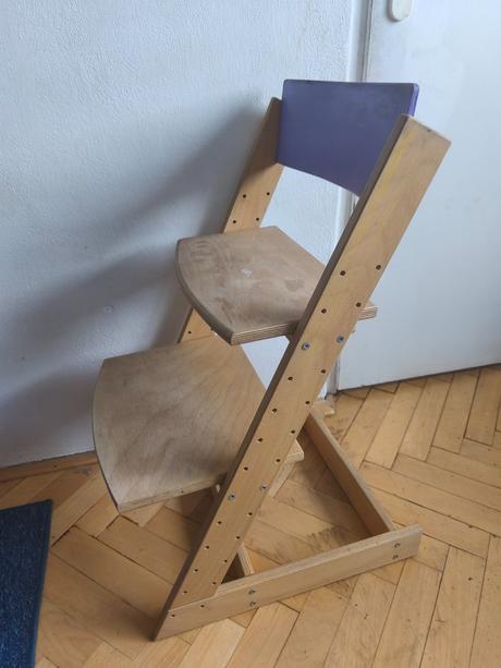 Rastúca buková stolička guuga, 