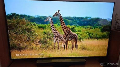 Panasonic 65" tx-65jz980b 65-inch 4k oled smart tv, panasonic