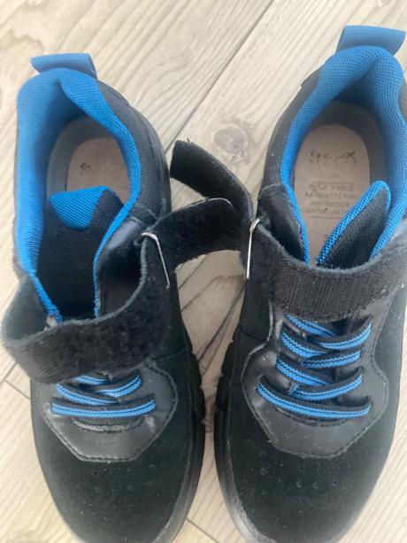 Topánky geox, geox,36