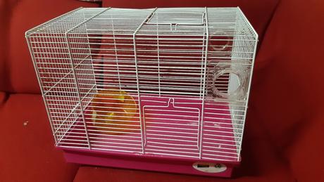 Predám klietku pre škrečka bez doplnkov., 