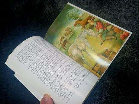 Kniha cert a kaca a jine pohodky, 