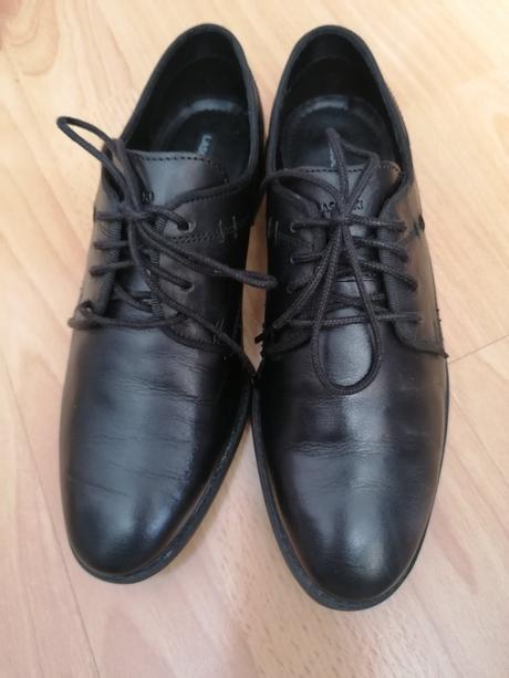 Poltopánky lasocki, lasocki,36