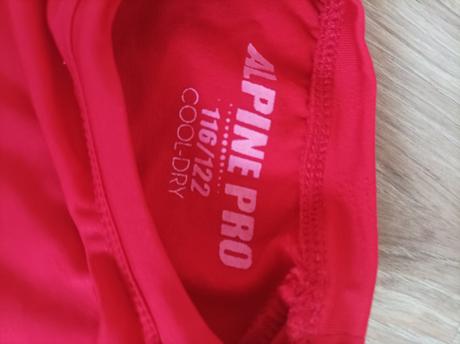 Termo tričko alpine pro, alpine pro,116