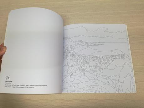 Dk animals of the world colouring book nau19, 