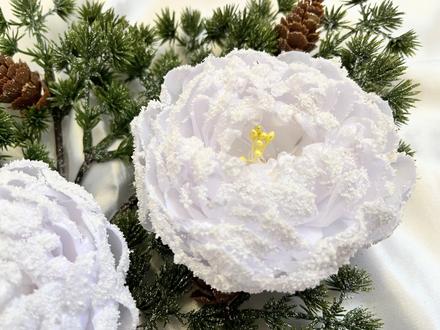 Zimná pivonka s kúzlom snehu a mrazu,