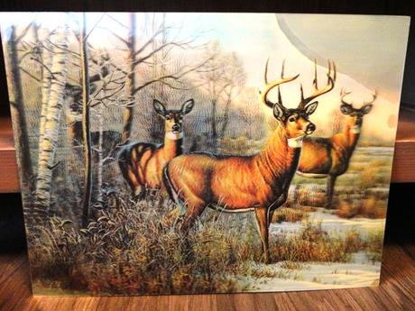 Pohyblivé obrazy 3d, 