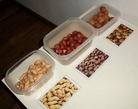 Montessori aktivity - darujem k nákupu,