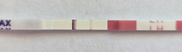 Je tento ovulačný test naozaj pozitívny?