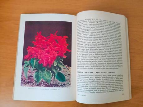 Okrasné rastliny (1960), 