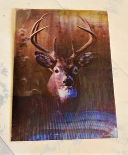 Veľká magnetka pre poľovníkov, 