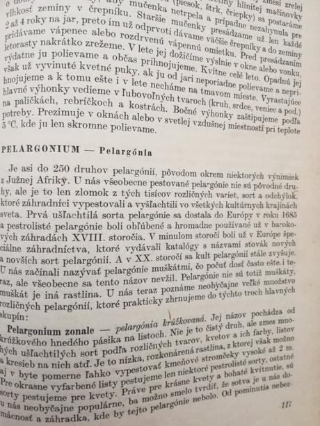 Okrasné rastliny v byte a na pracovisku, 