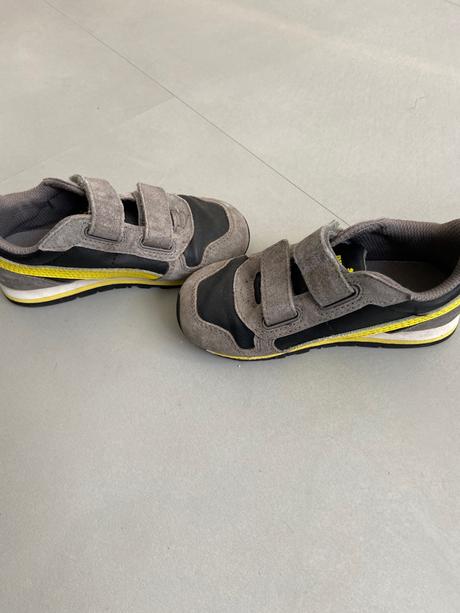 Puma sede 25, puma,25