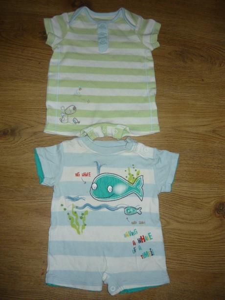 Opalovačky -62, tiny ted,62