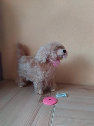 Barbie ginger the dog, 