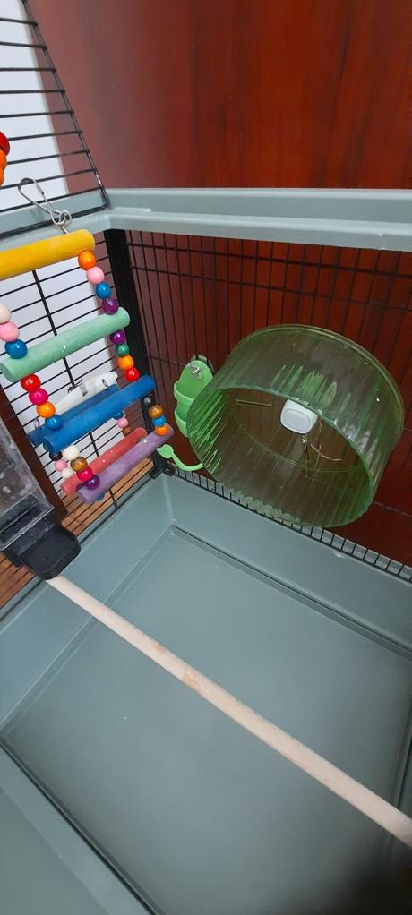 Klietka pre vtaciky, 