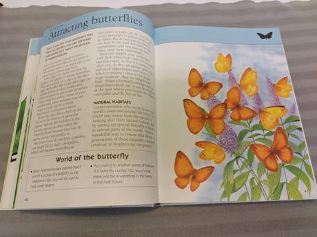 Bugs the encyclopedia of creepy-crawlies sp23, 