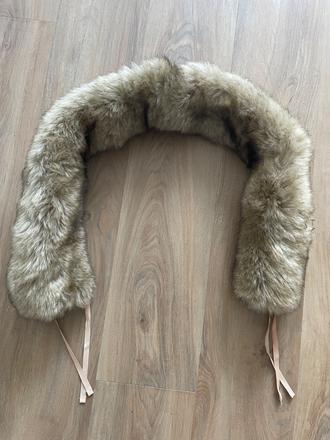 Kozusina na kociar, bjällra