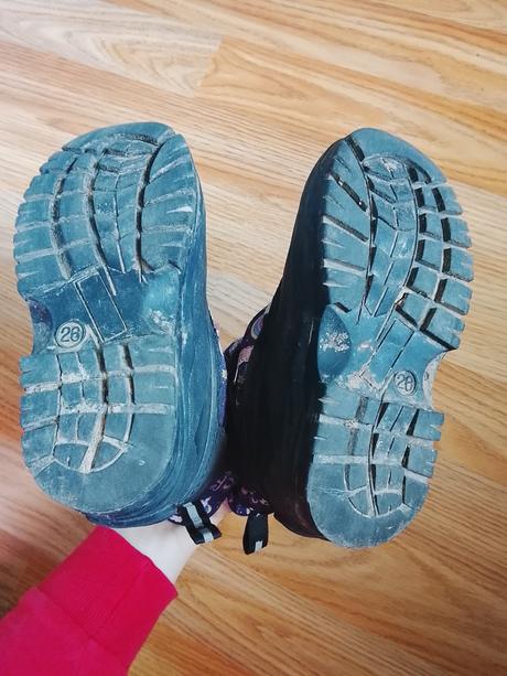 Snehule kengaroos, 26