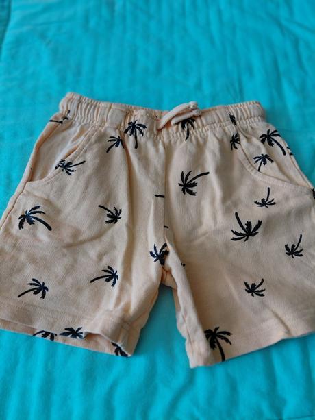 Kratase-palmy i., sinsay,122