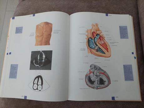 Atlas anatómie - nemecké vydanie, 