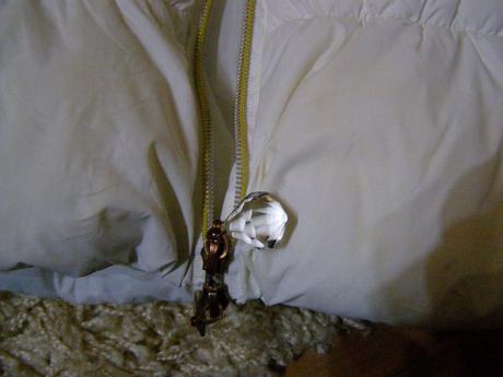 Luxusná vetrovka karl kani  p.c. 279 euro, s