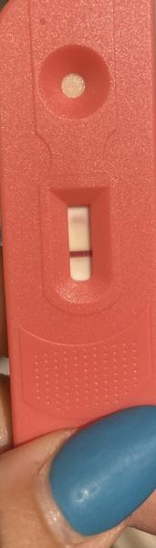 Je to tehotenstvo alebo črevná viróza?