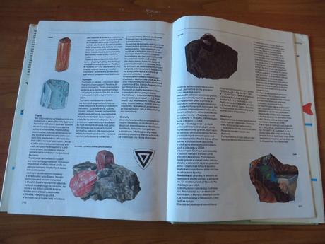 Pestrá príroda - mladé letá,