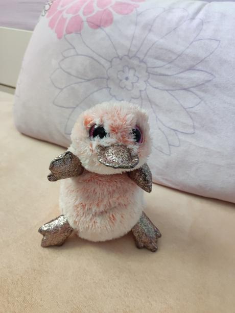 Plyšový vtakopysk perry, 