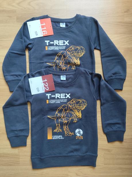 Zateplené mikiny t-rex, kiki&koko,116