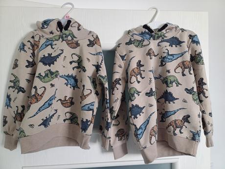 Dinosaurus mikina, takko,104
