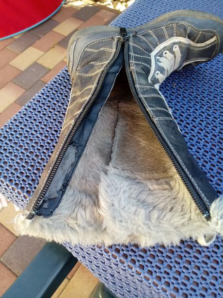 Cizmicky mustang, mustang,29