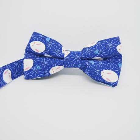 Jarný, pestrý , veľkonočný motýlik, 