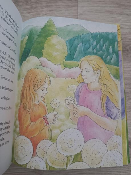 Terezkin kosicek kniha, 