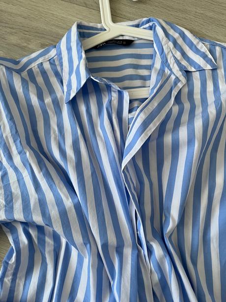 Modra kosela, zara,s