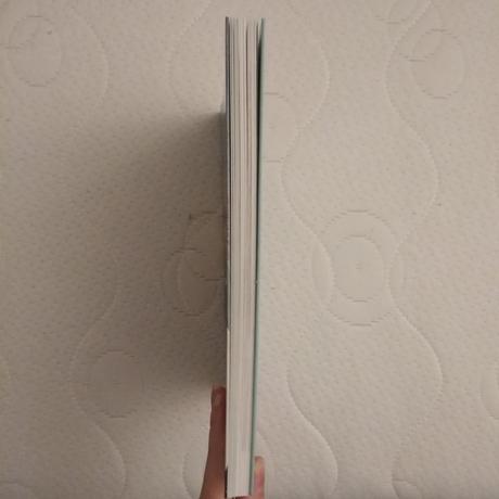 Raw pre začiatočníkov, 